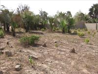 Land For Sale - Bijilo - close...