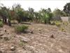 Land For Sale - Bijilo - close...