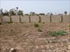 Land For Sale - Bijilo - close...