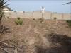 Land For Sale - Bijilo - close...