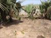 Land For Sale - Bijilo - close...