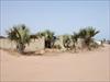Land For Sale - Bijilo - close...