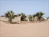 Land For Sale - Bijilo - close...
