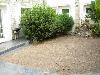 Kotu - potential 6 bed guest h...