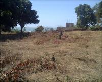 Gambia Land For Sale