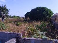 Land For Sale at Brusubi