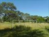 Undeveloped commercial plot fo...