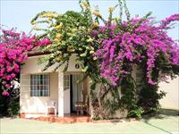 Bakau Lodge