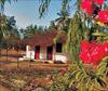 Sanyang Nature Camp