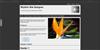 Rhythm Web Design Beta Testing